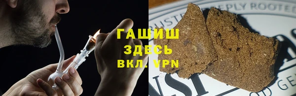 сатива Белокуриха