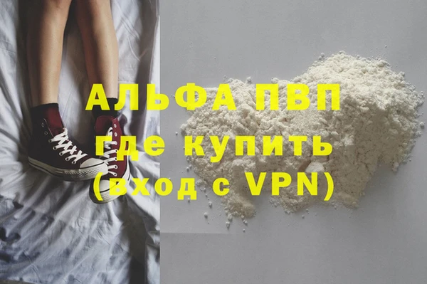 сатива Белокуриха
