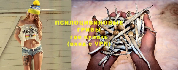 сатива Белокуриха